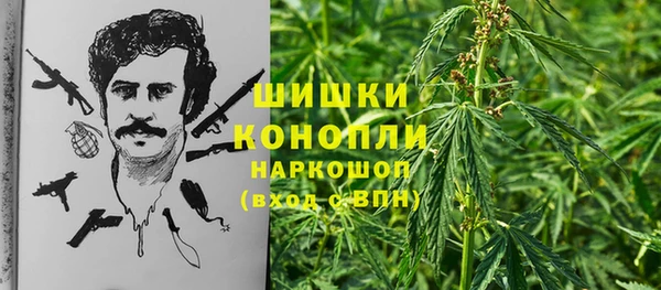 spice Волосово