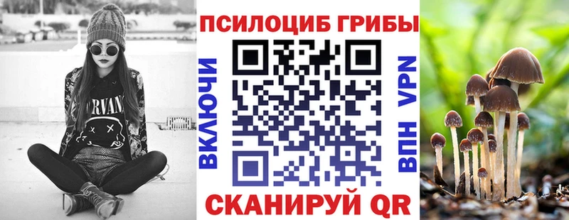 хочу наркоту  Павловский Посад  Псилоцибиновые грибы прущие грибы 